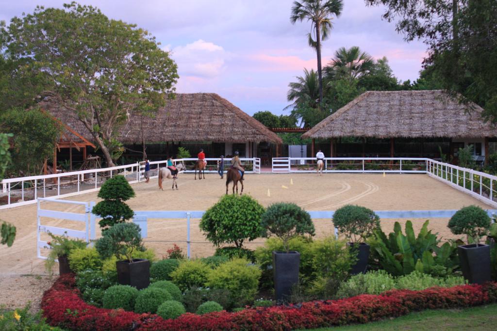 Donatela Resort And Sanctuary Panglao Exterior foto